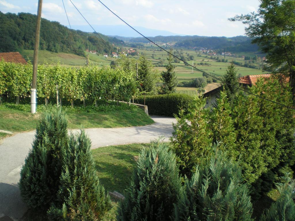 Apartments Country House Stipica Tuheljske Toplice Εξωτερικό φωτογραφία